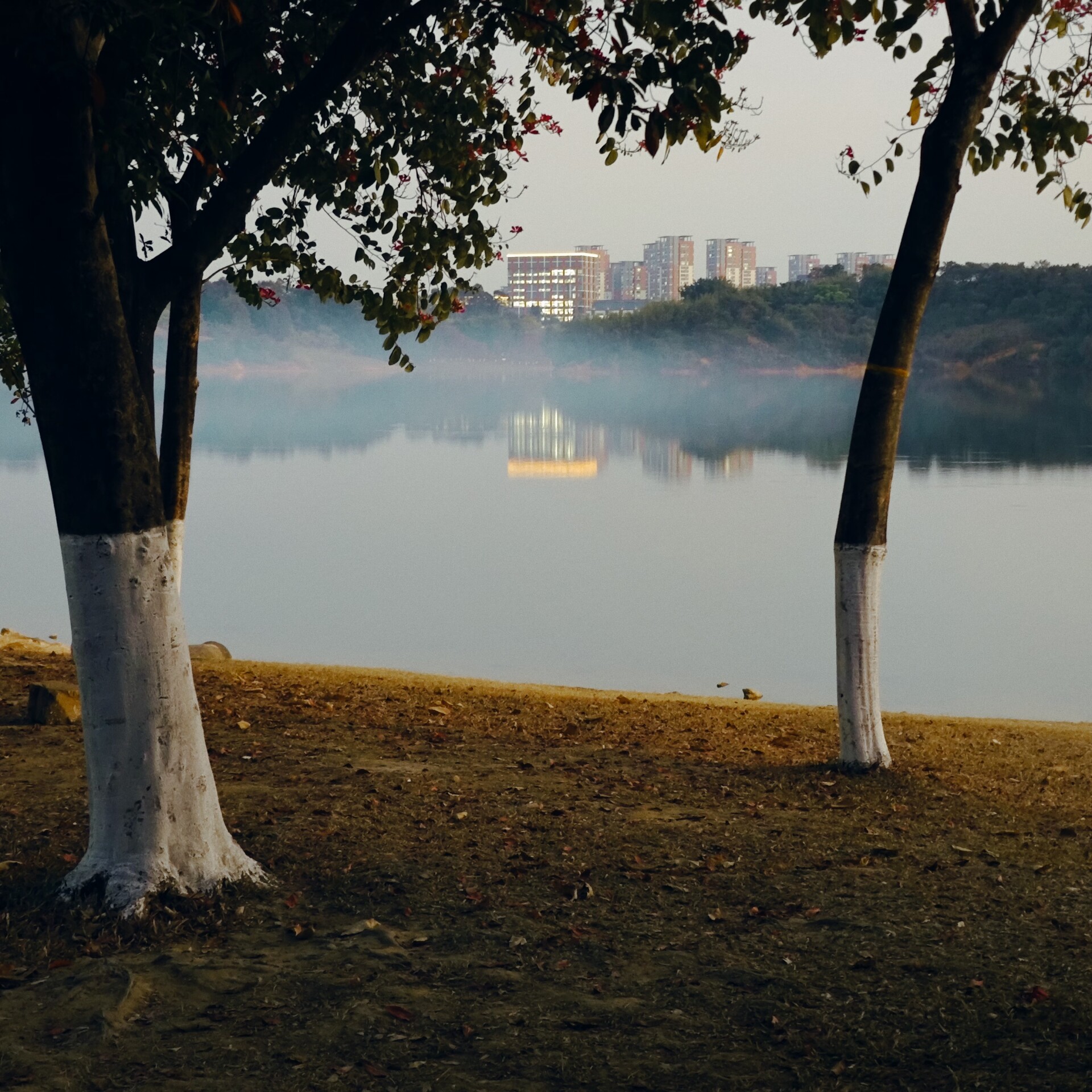 830b1e8f3db7c63f3de446eb395952a